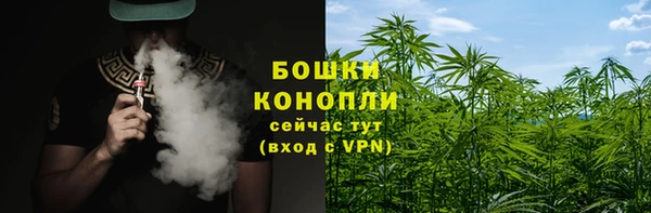 амф Гусь-Хрустальный