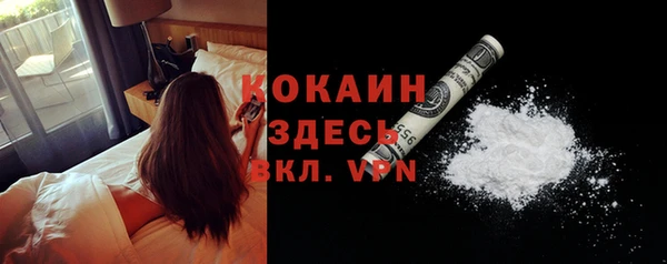 индика Карталы