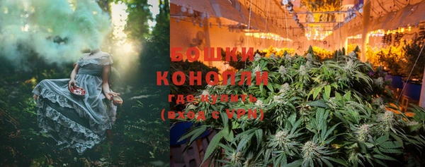 индика Карталы