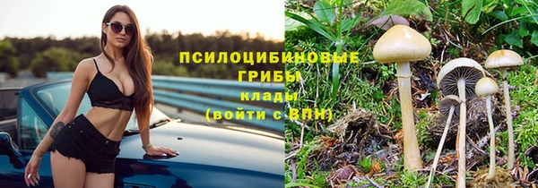 гашиш Касимов